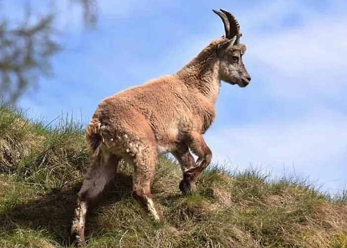 La Terrazza Sulla Valle Lägenhet *